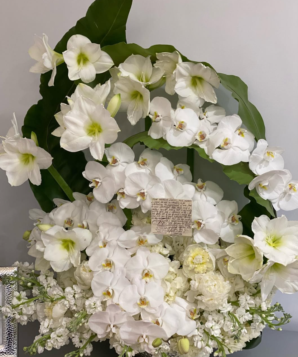 Orchids